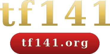tf141 logo